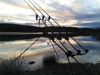 CARP FISHING......